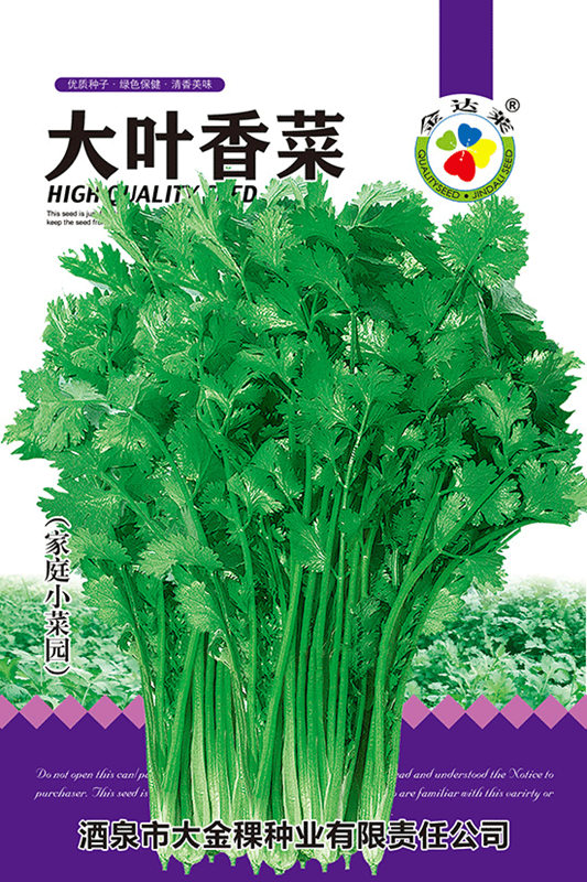 大叶香菜