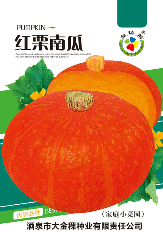 红栗南瓜