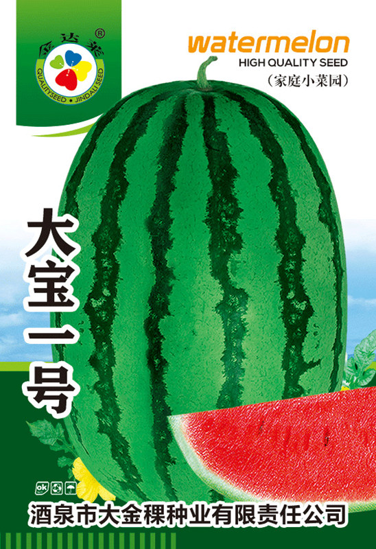 大宝一号