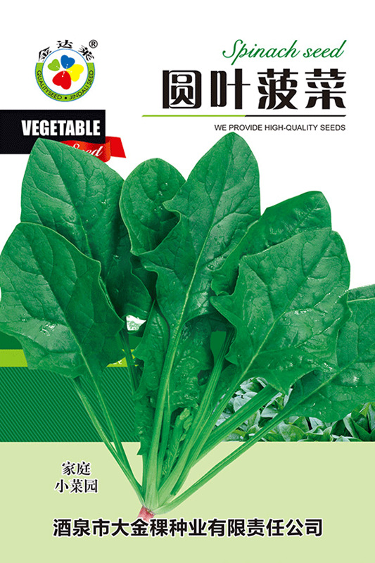 圆叶菠菜