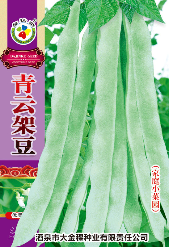 青云架豆
