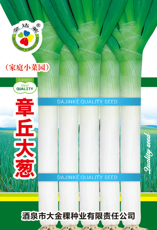 章丘大葱