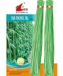蛟龙