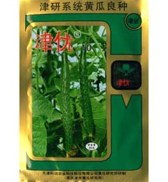 津优10号黄瓜