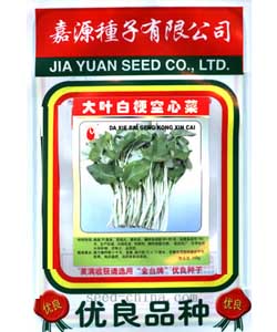 大圆叶白梗空心菜