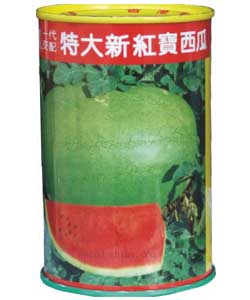 特大新红宝西瓜