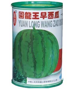 圆龙王早西瓜