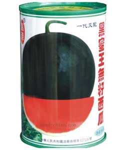 黑蜜王无籽西瓜