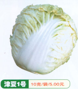 津夏1号