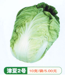津夏2号