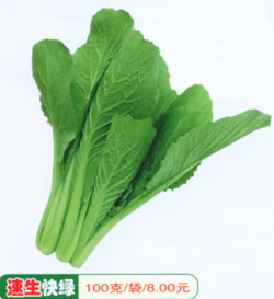 速生快绿
