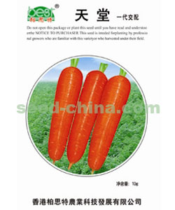 天堂