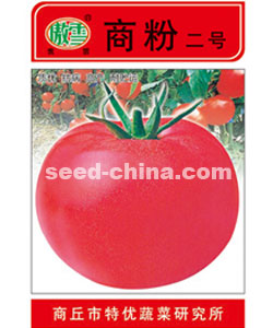 商粉二号