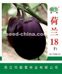 河南18