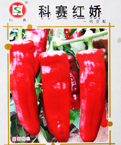 科赛红椒