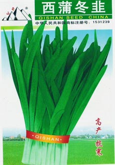 西蒲冬韭菜种子