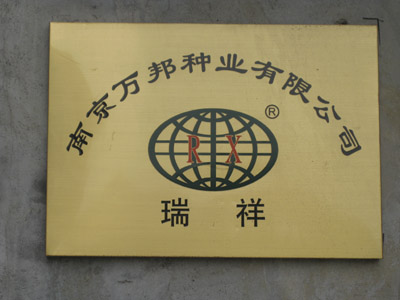 点击在新窗口中打开
