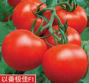 点击在新窗口中打开