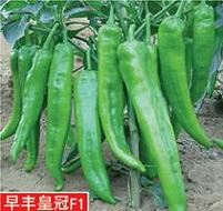 点击在新窗口中打开