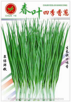 点击在新窗口中打开