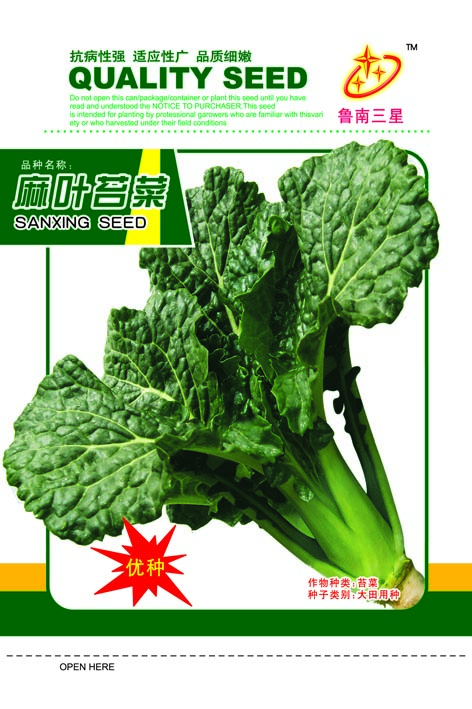 点击在新窗口中打开