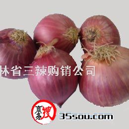 点击在新窗口中打开