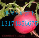 点击在新窗口中打开