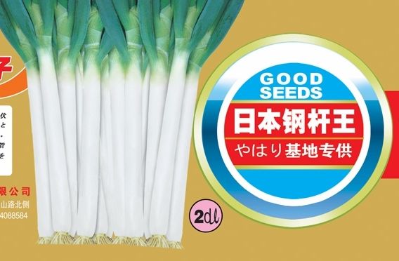 点击在新窗口中打开