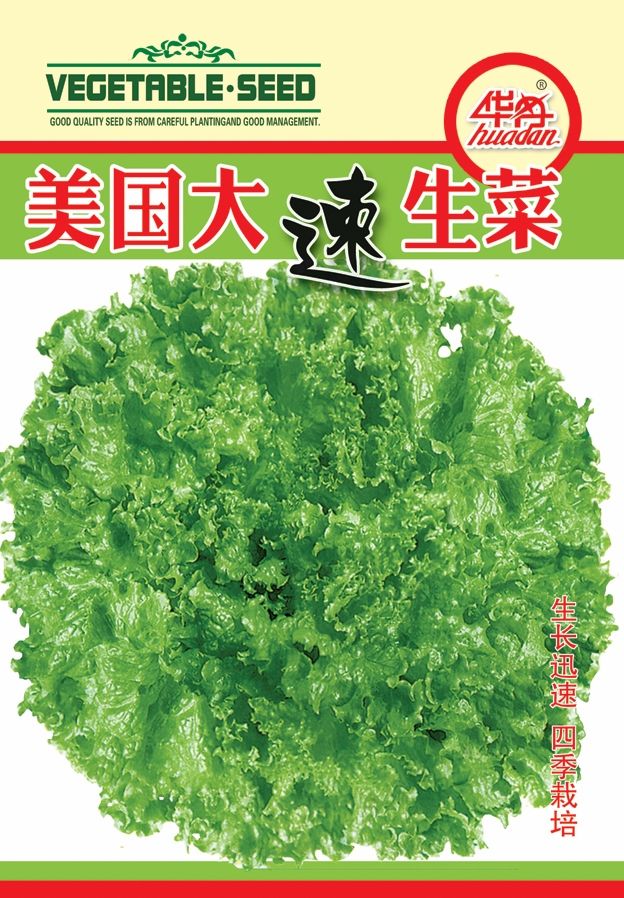 点击在新窗口中打开