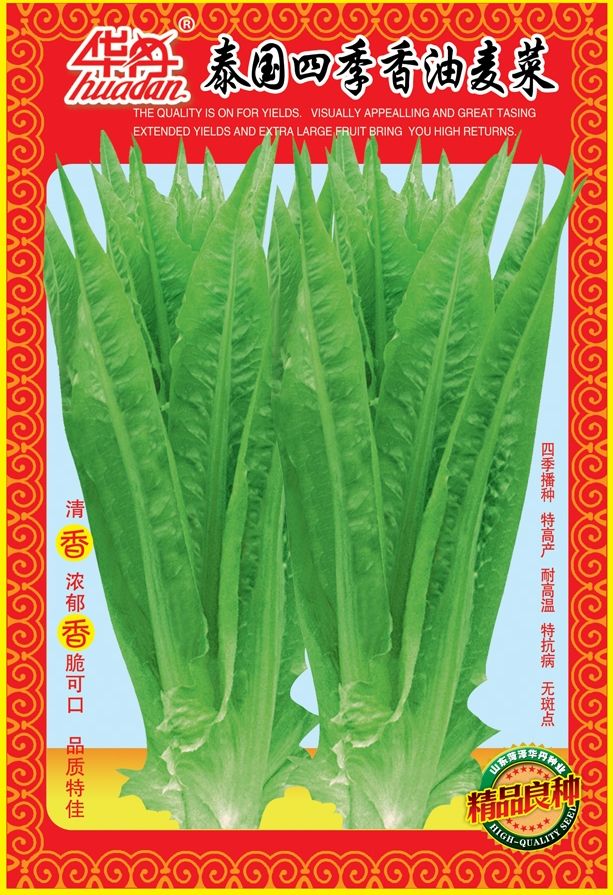 点击在新窗口中打开