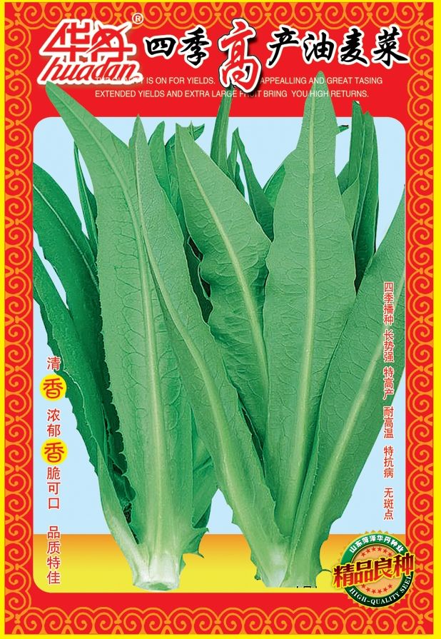 点击在新窗口中打开