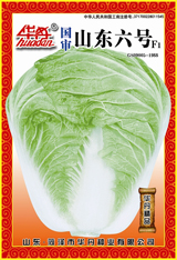 点击在新窗口中打开