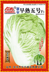 点击在新窗口中打开
