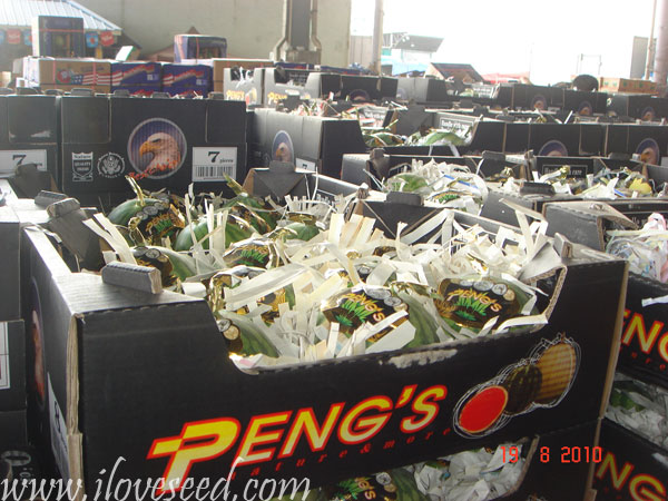 <font color='red' size='5px'><strong>西瓜花金广州江南市场销售情形</strong></font>