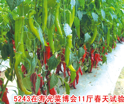 点击在新窗口中打开