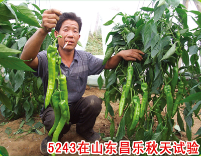 点击在新窗口中打开