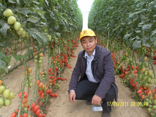 点击在新窗口中打开