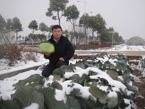 点击在新窗口中打开