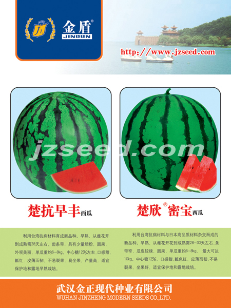 点击在新窗口中打开