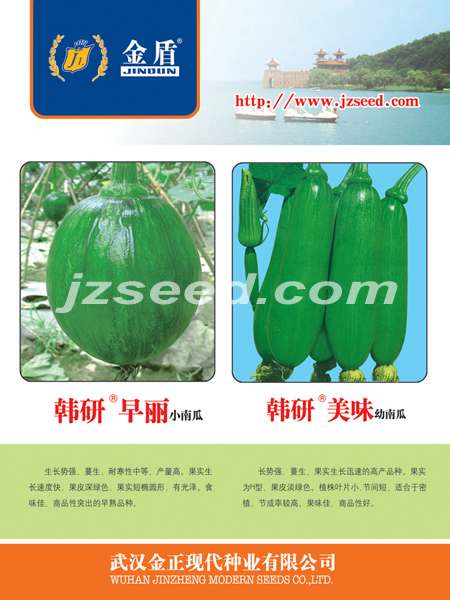 点击在新窗口中打开