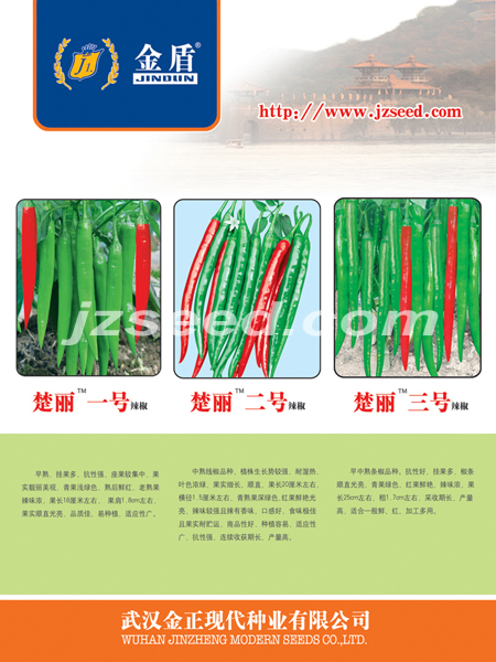 点击在新窗口中打开