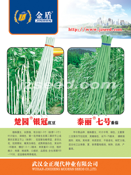 点击在新窗口中打开