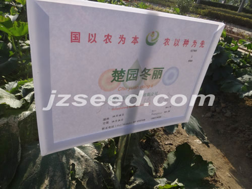 点击在新窗口中打开