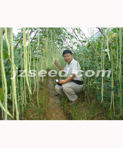 点击在新窗口中打开