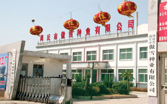 公司图片