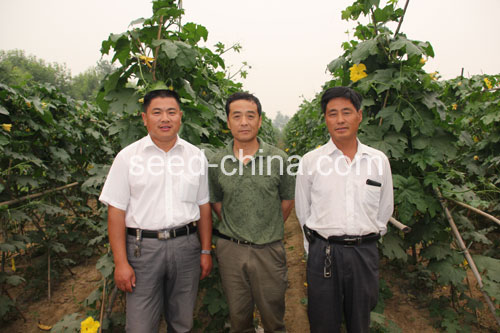 点击在新窗口中打开