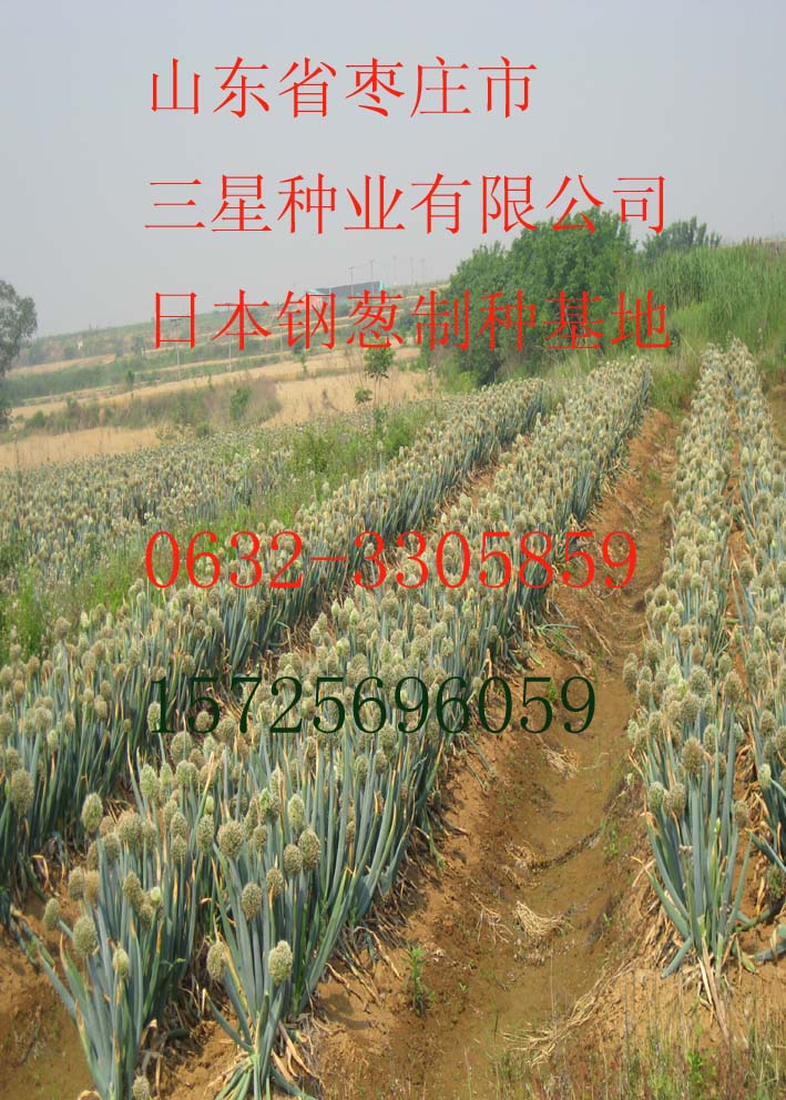 点击在新窗口中打开