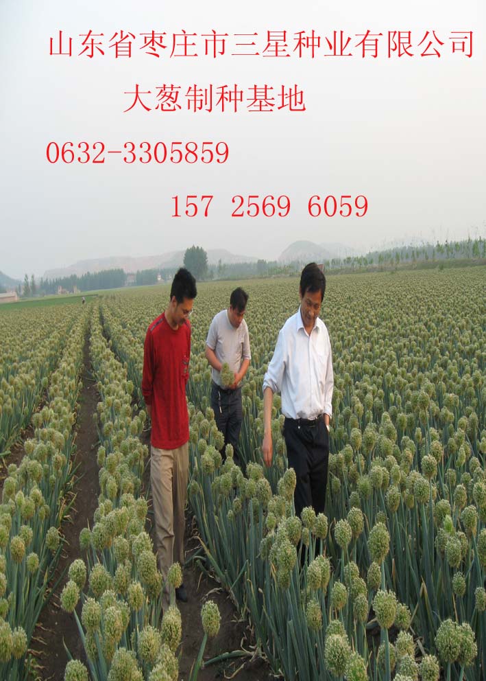 点击在新窗口中打开