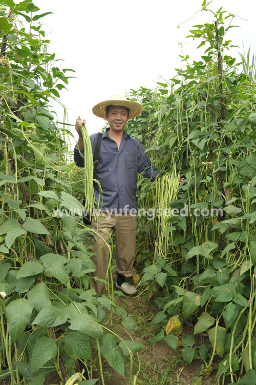 点击在新窗口中打开