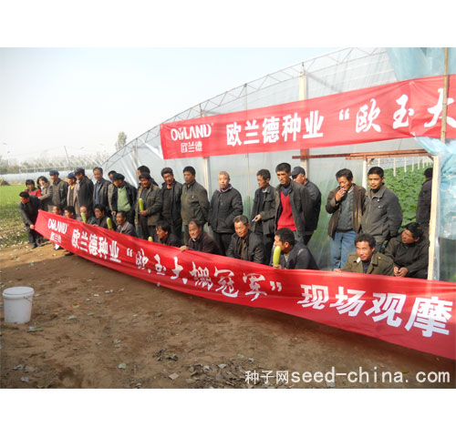 点击在新窗口中打开